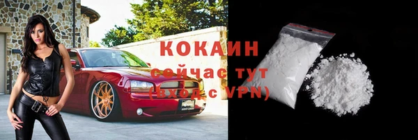 крисы Баксан