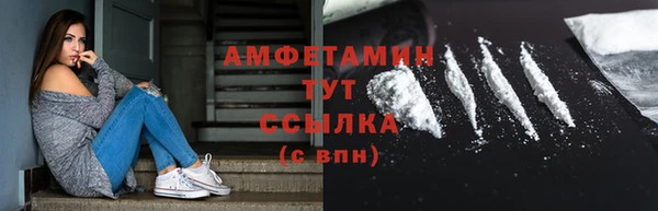 крисы Баксан
