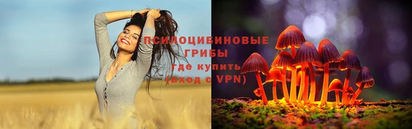 крисы Балахна