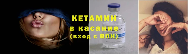 крисы Баксан
