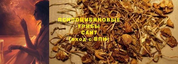 крисы Баксан