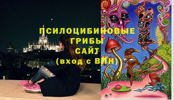 крисы Нягань