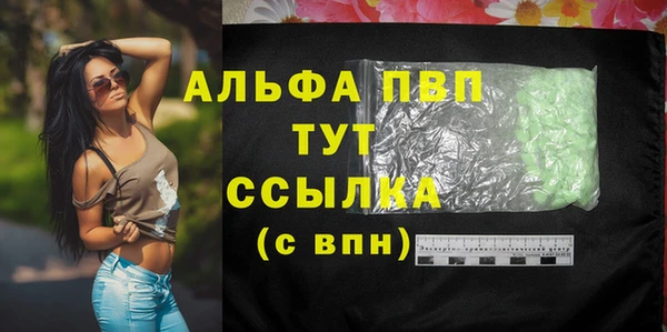 крисы Баксан